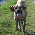 Maerz-April 2009 065